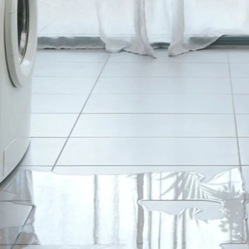 Appliance Leak Cleanup in Westfield Center, OH