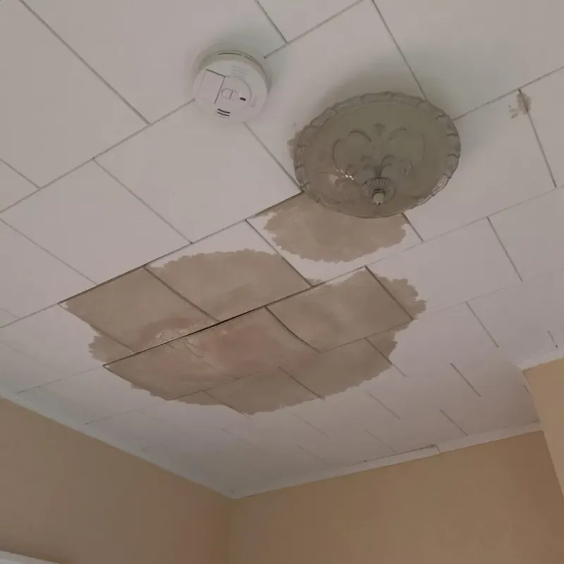 Ceiling Water Damage Repair in Westfield Center, OH