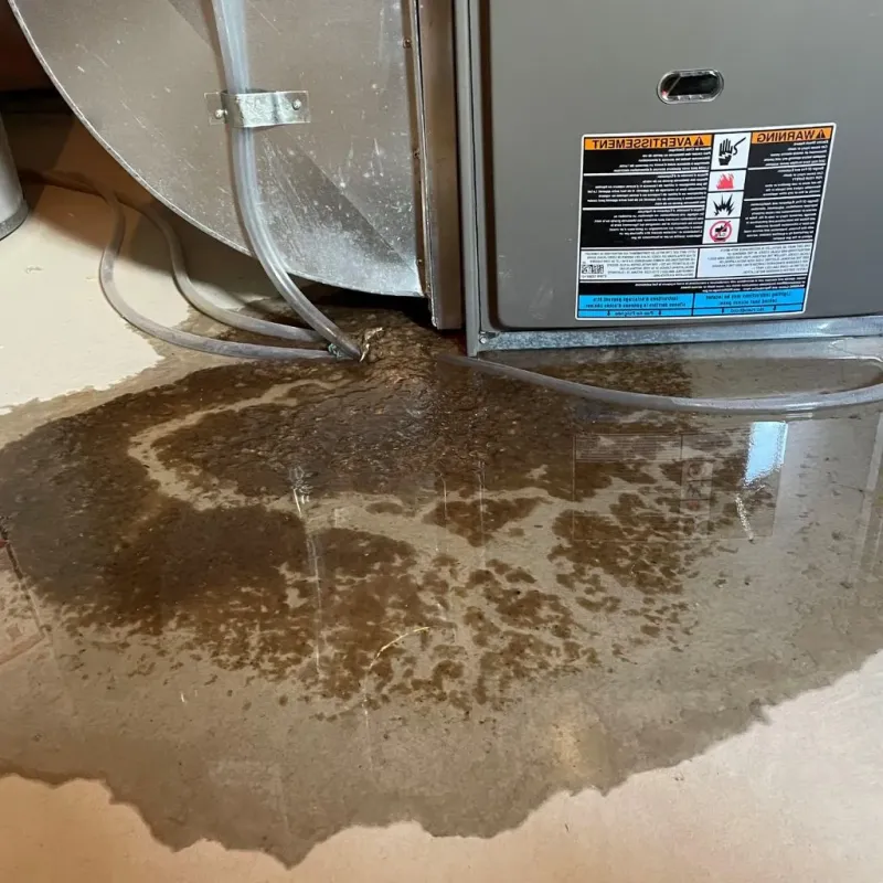 Pipe Burst and Leak Restoration in Westfield Center, OH